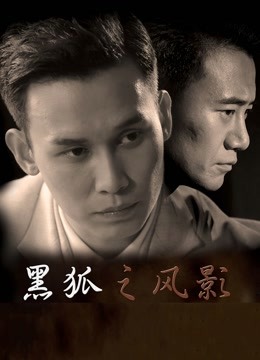 黑狐之风影